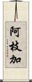 阿枝加 Scroll