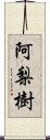 阿梨樹 Scroll