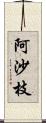 阿沙枝 Scroll