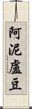 阿泥盧豆 Scroll