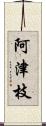 阿津枝 Scroll