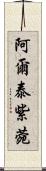 阿爾泰紫菀 Scroll