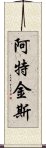 阿特金斯 Scroll