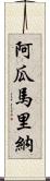 Aguamarina Scroll
