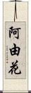 阿由花 Scroll