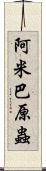 阿米巴原蟲 Scroll