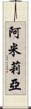 Amilia Scroll
