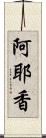 阿耶香 Scroll