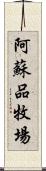阿蘇品牧場 Scroll