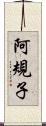 阿規子 Scroll