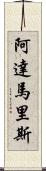 Adamaris Scroll