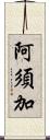 阿須加 Scroll