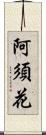 阿須花 Scroll