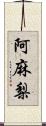 阿麻梨 Scroll