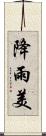 降雨美 Scroll