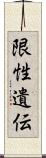 限性遺伝 Scroll