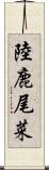 陸鹿尾菜 Scroll