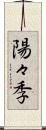 陽々季 Scroll