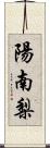 陽南梨 Scroll