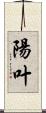 陽叶 Scroll