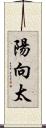 陽向太 Scroll