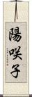 陽咲子 Scroll