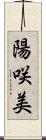 陽咲美 Scroll