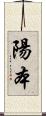 陽本 Scroll