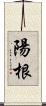 陽根 Scroll