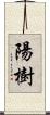 陽樹 Scroll