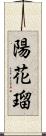 陽花瑠 Scroll