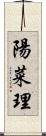 陽菜理 Scroll