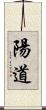 陽道 Scroll