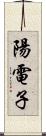 陽電子 Scroll