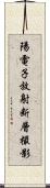 陽電子放射断層撮影 Scroll