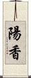 陽香 Scroll