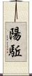 陽駈 Scroll