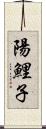 陽鯉子 Scroll