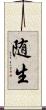 随生 Scroll