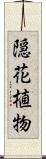 隠花植物 Scroll