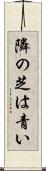 隣の芝は青い Scroll