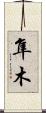 隼木 Scroll