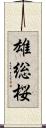 雄総桜 Scroll