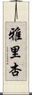 雅里杏 Scroll