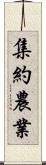 集約農業 Scroll
