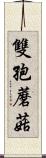 雙孢蘑菇 Scroll
