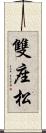 雙座松 Scroll