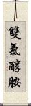 雙氯醇胺 Scroll