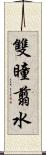 雙瞳翦水 Scroll