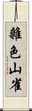 雜色山雀 Scroll